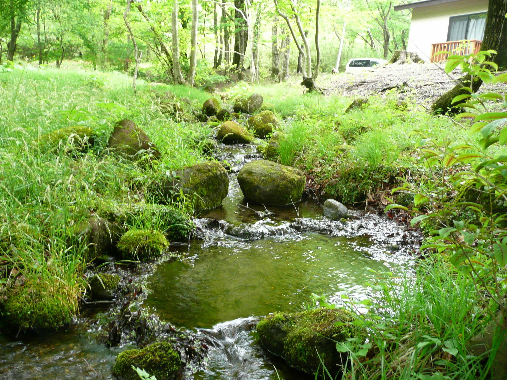 Scotch Court Hotel Nasu Luaran gambar